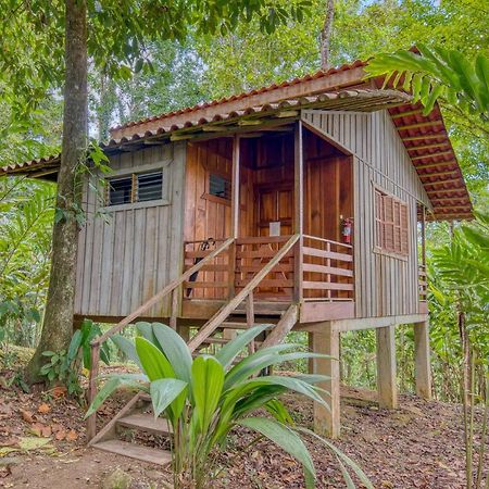 Selva Bananito Lodge Westfalia Eksteriør billede