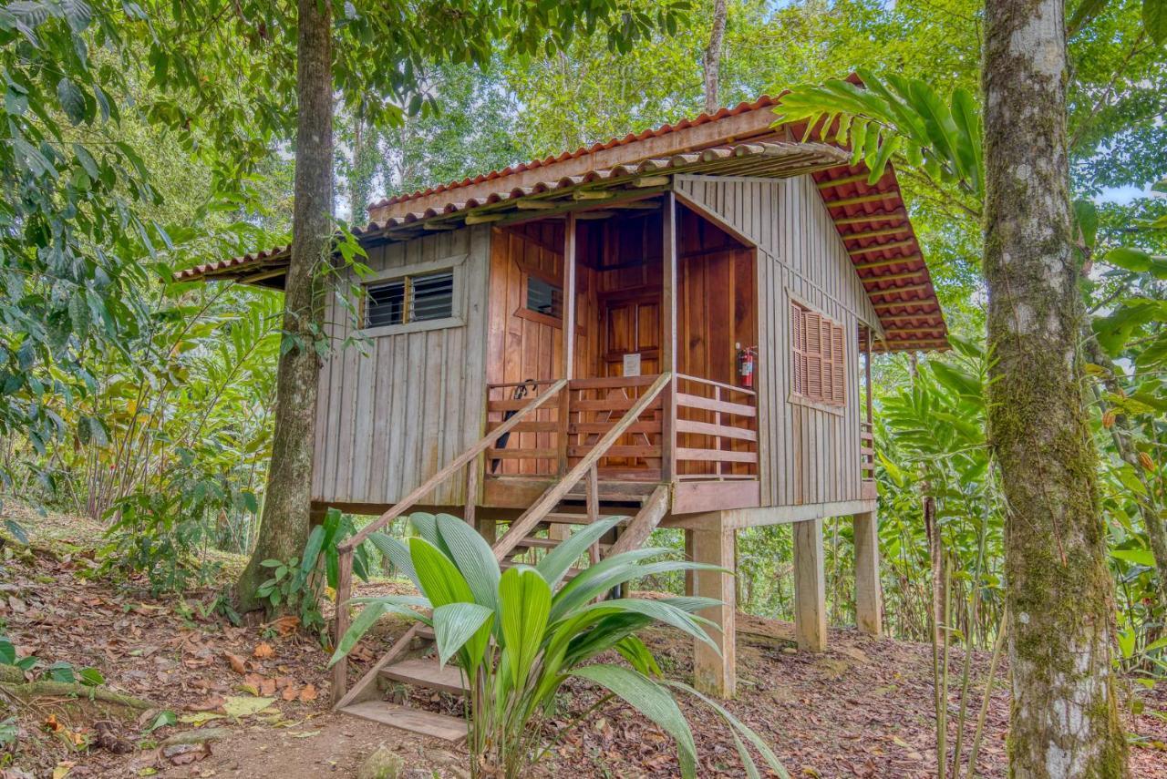 Selva Bananito Lodge Westfalia Eksteriør billede
