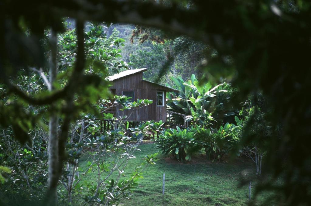 Selva Bananito Lodge Westfalia Værelse billede